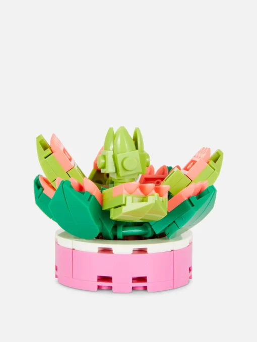 Boques De Construcción Para Suculentas