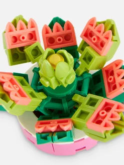 Boques De Construcción Para Suculentas