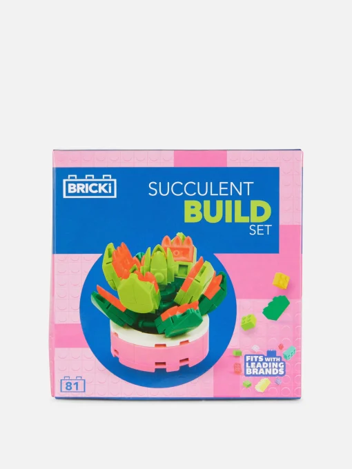 Boques De Construcción Para Suculentas
