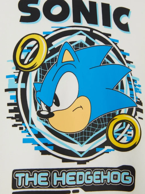 Sudadera Con Capucha Y Estampado De Sonic, El Erizo
